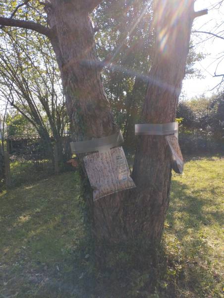 Ecopiège : Protéger votre habitation à Bordeaux