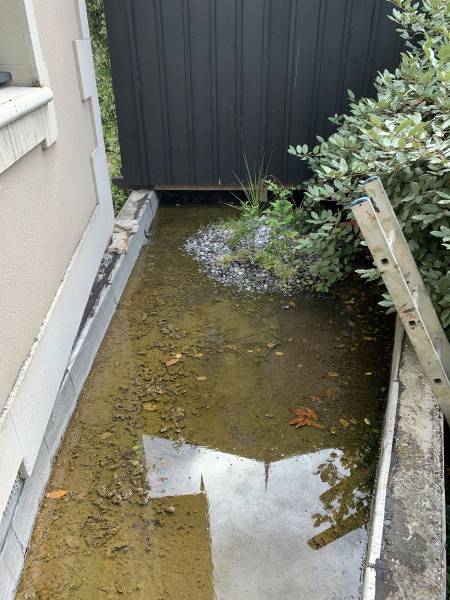 Acénis traite les larves de moustiques