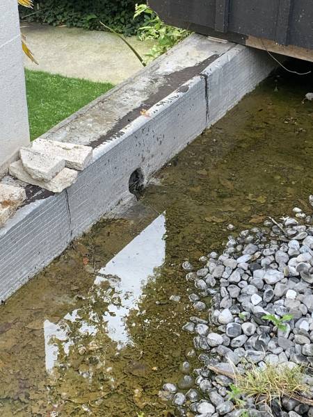 Acénis traite les larves de moustiques