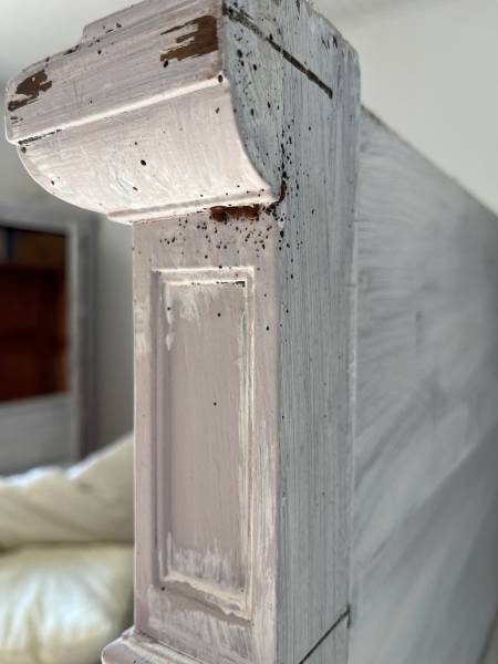 Punaises de lit et excréments sur tête de lit dans maison sur Arcachon