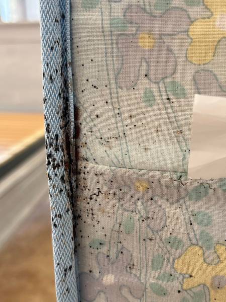 Punaises de lit et excréments sur matelas, grosse invasion dans maison sur Arcachon