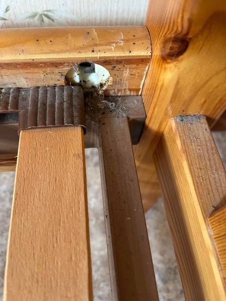 Sur Arcachon, punaises de lit et excréments sur sommier à latte, endroits à inspecter