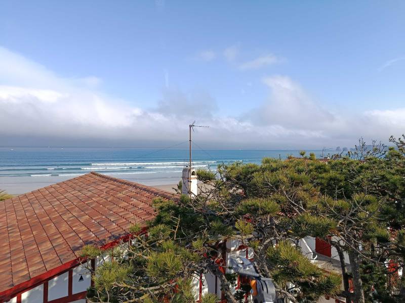 Echenillage : Protégez votre environnement à Bordeaux