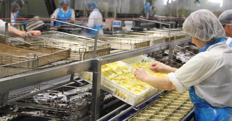 Dératisation et désinsectisation aux normes HACCP pour les professionnels de l'agro-alimentaire