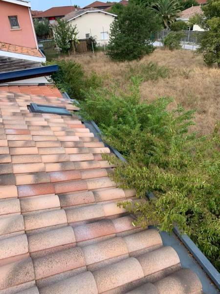 Dératisation sous toiture d’un nid de souris dans une villa à Biscarrosse (40600)