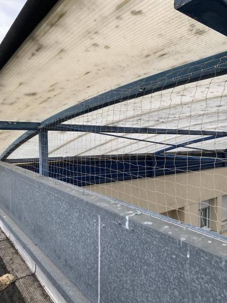 Pose de filets anti pigeons sur le toit d'un EHPAD à Talence en Gironde