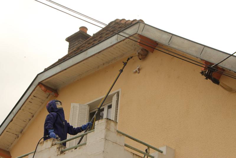 Eliminer un nid de frelons à bordeaux 