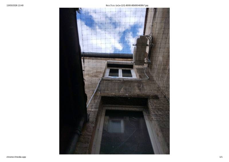 Protéger des locaux professionnels des fientes de pigeons à Bordeaux